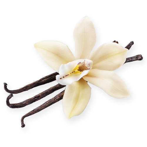 Vanilla
