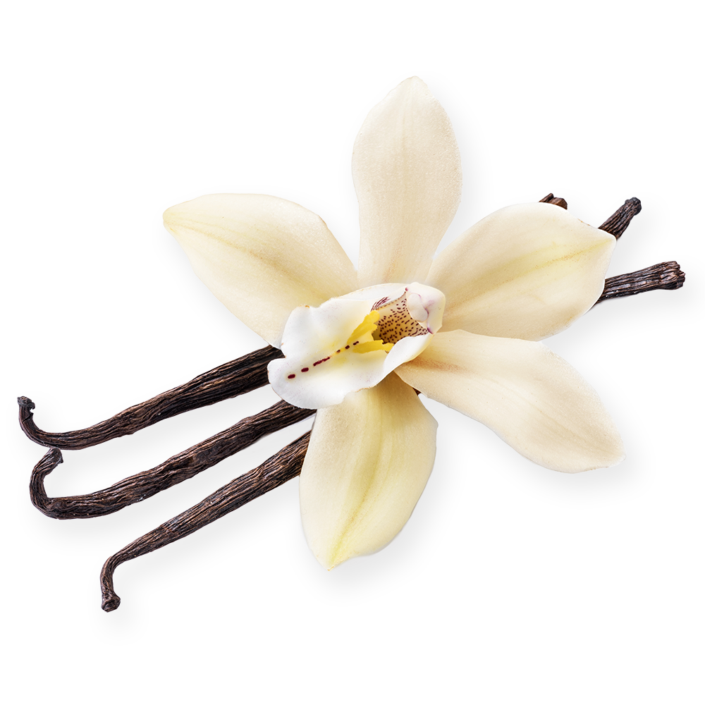 Vanilla